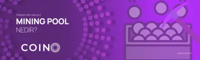 Mining Pool (Madencilik Havuzu) Nedir?